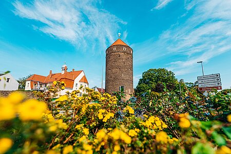 Donatsturm in Freiberg
