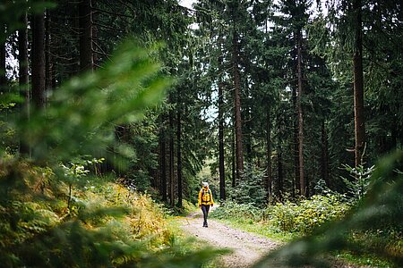 Wandern auf dem Kammweg