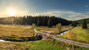Wandern im Schwarzwassertal