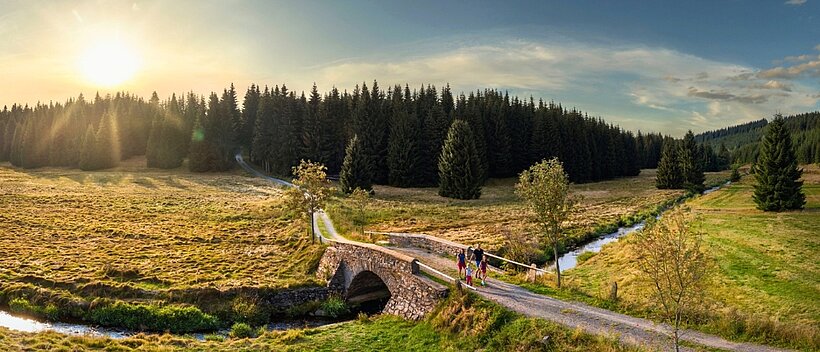 Wandern im Schwarzwassertal