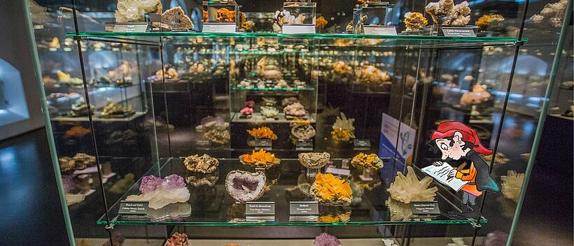Tatock in der Terra Mineralia in Freiberg