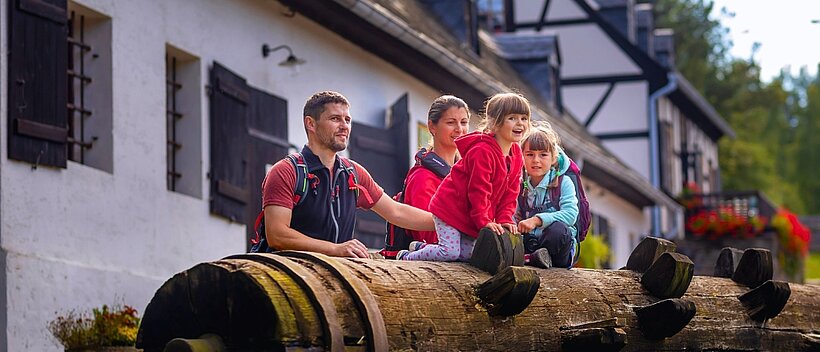Siebenschlehener Pochwerk in Schneeberg