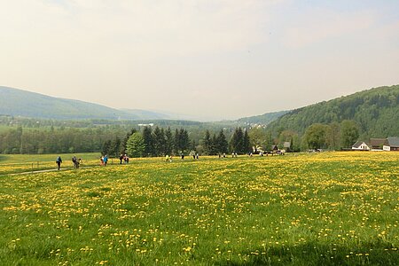 Kammweg bei Seiffen