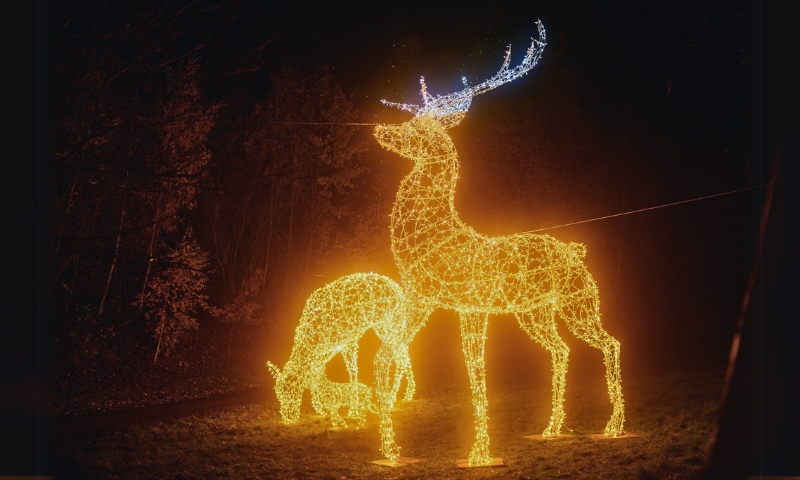 Lichterzauber im Sonnenlandpark Lichtenau