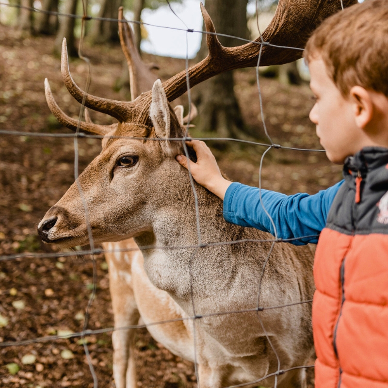 Wildpark Osterzgebirge