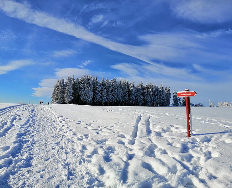 Winterwanderweg in Schellerhau ()
