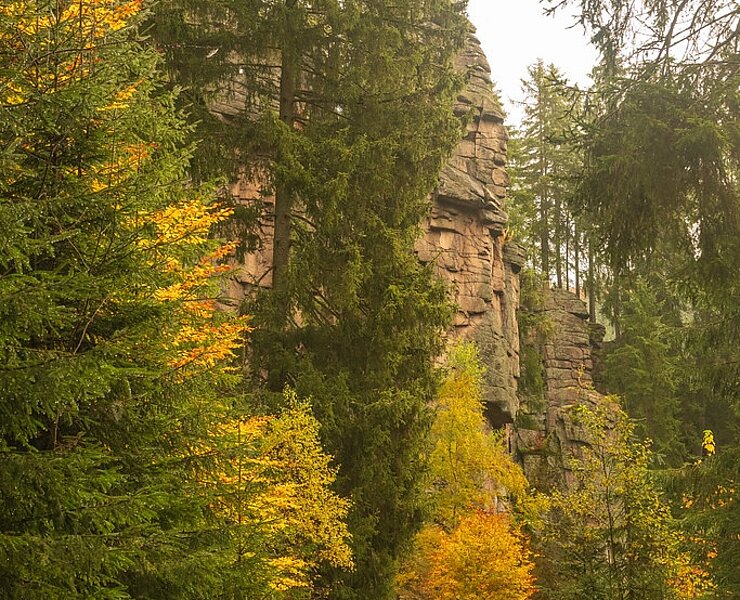 Wanderer vor den Teufelssteinen (Martin Strnad)