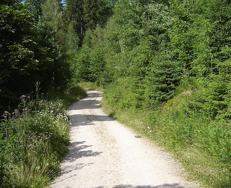 Wanderweg rund um den Gerstenberg ()