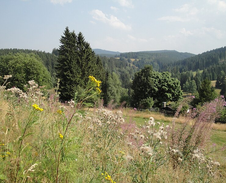 Johanngeorgenstadt - Blick ins Böhmische (Birgit Knöbel)