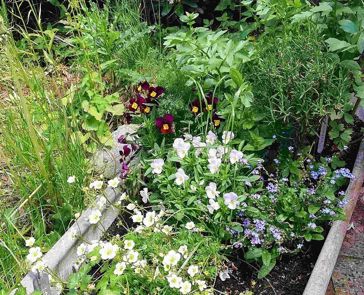 Garten - 1 ()