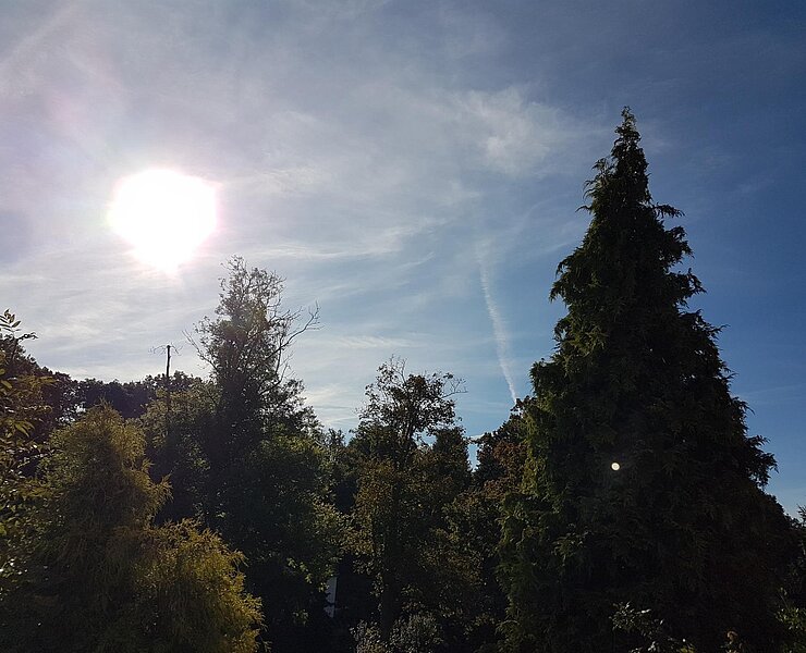 die Sonne lacht ()