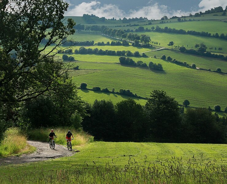 Mountainbiken im Erzgebirge ()