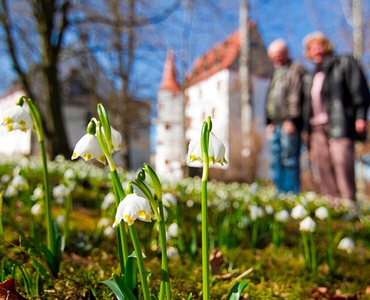 Schloss Schlettau (Bernd März)