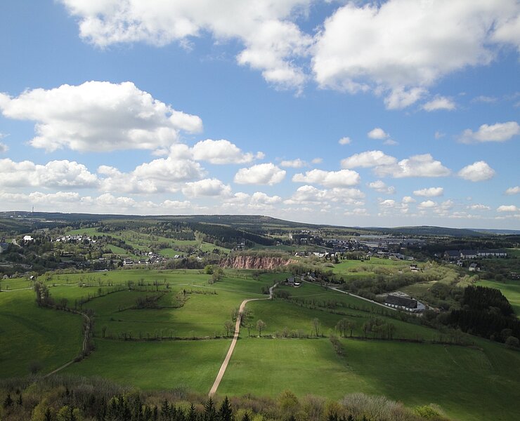 Blick vom Louisenturm auf dem Geisingberg zur Binge (Birgit Knöbel)