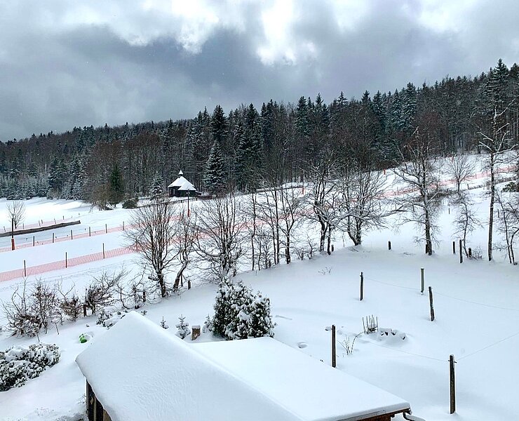 Blick zum Ski- und Rodelhang ()