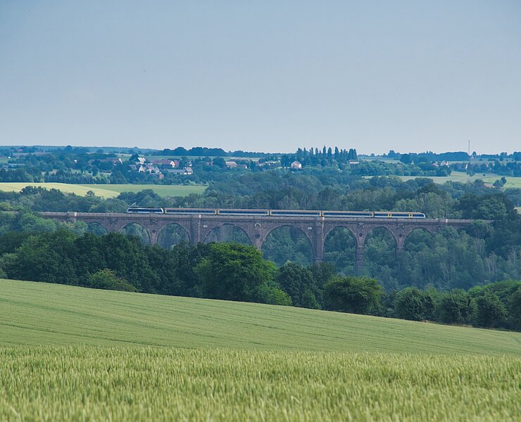 Kugelbaum Lunzenau - Göhrener Viadukt (Bastian Rakow)