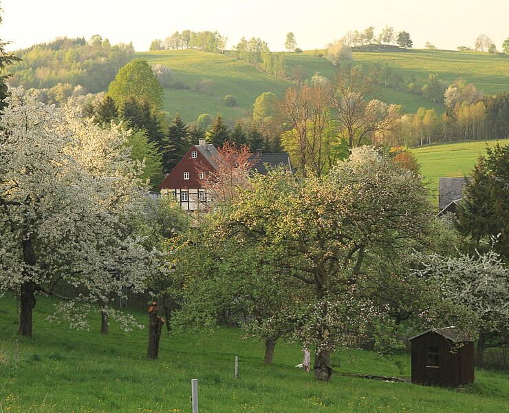 Hagebuttenweg (Thomas Prantl)