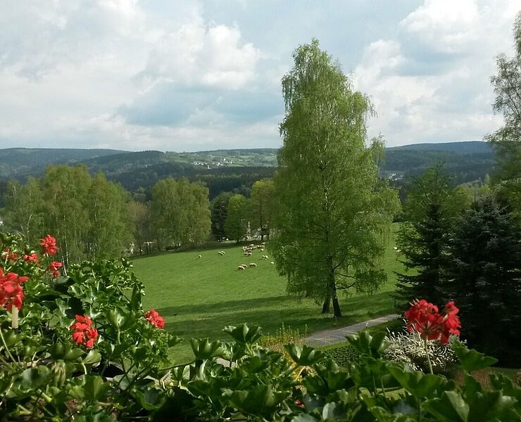 Blick Richtung Pobershau ()