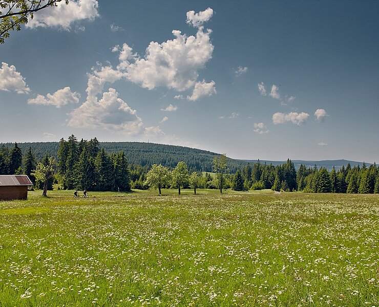 Radregion Erzgebirge (Tourismusverband Erzgebirge e.V. /René Gaens)