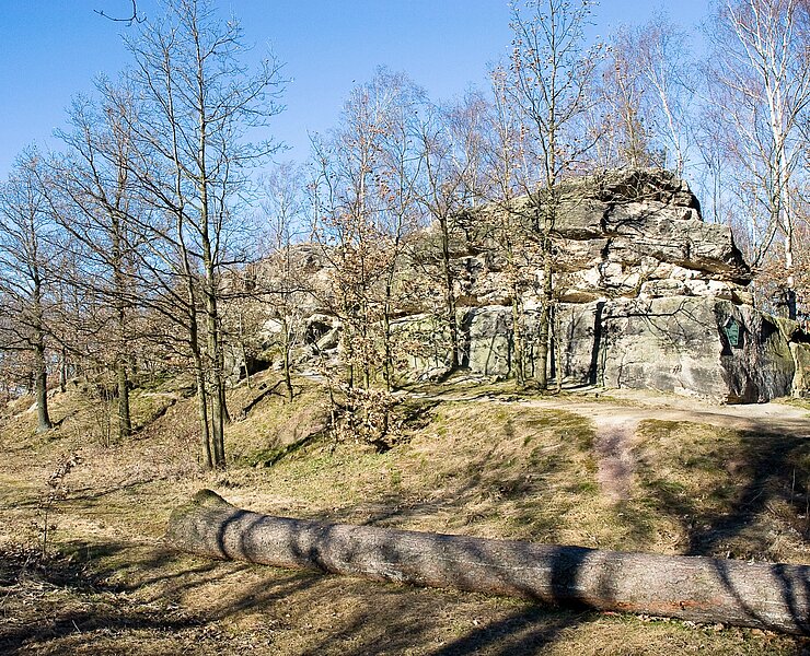 Naturflächendenkmal Götzenbusch (Tourismus-Information Stadt Rabenau)