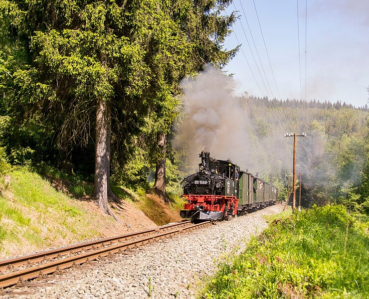  (Jürgen Herold, IG Preßnitztalbahn)
