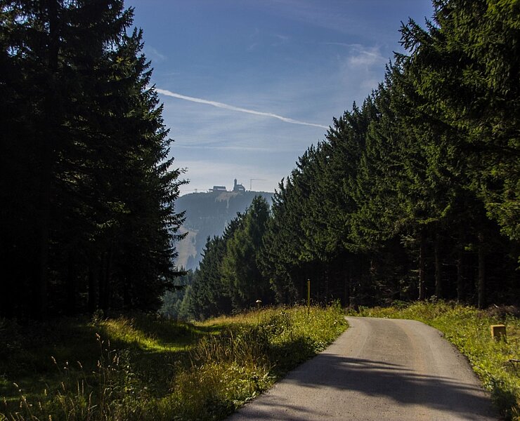 Stümpelweg mit Blick Richtung Fichtelberg (Jana Menzel)
