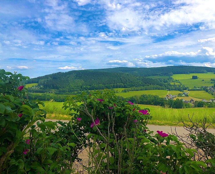 Blick Emmlerweg ins Tal nach Raschau und im Hintergrund auf den Hundsmarter (Andreas Göbel)