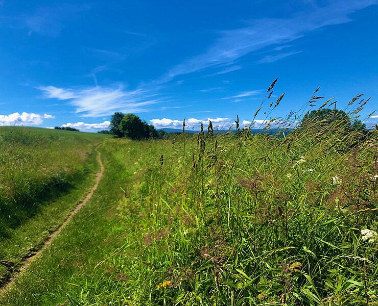 Feldweg zwischen Annaberg Buchholz und Bärenstein (Andreas Göbel)