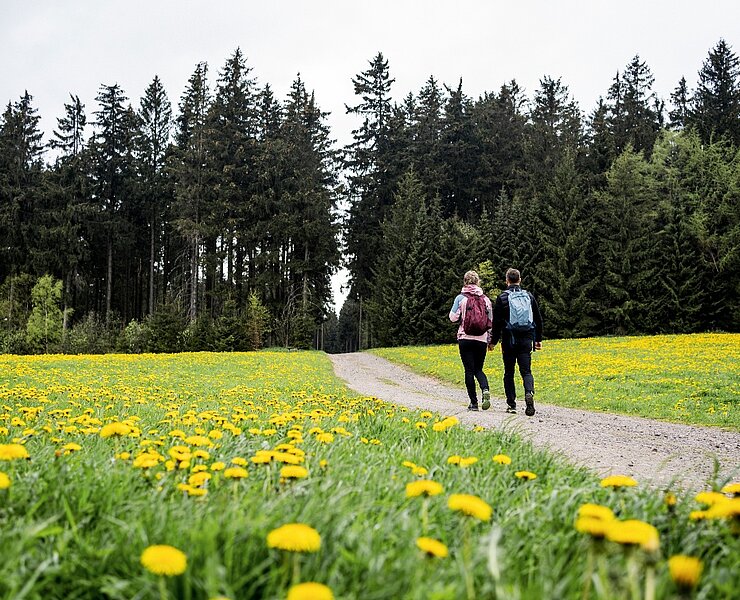 leuchtende Maiblumenwiesen (Dirk Rückschloss)