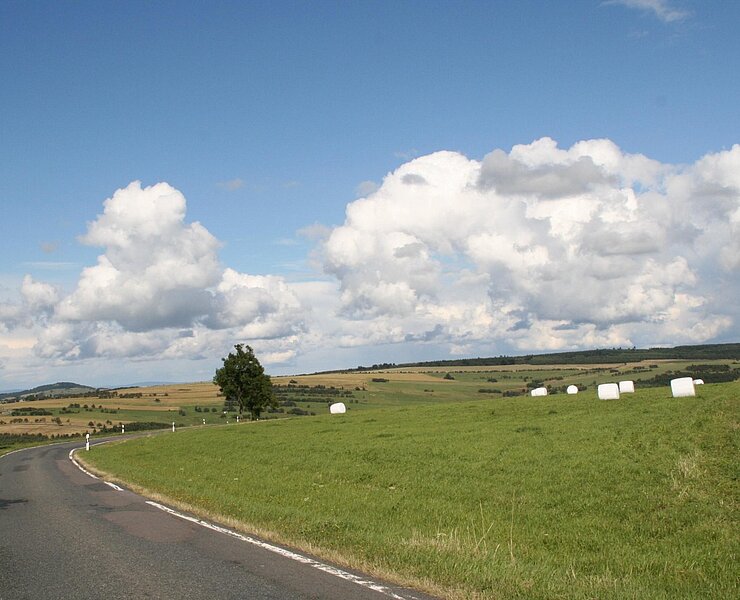 Erzgebirge - Fürstenauer Wiesen ()