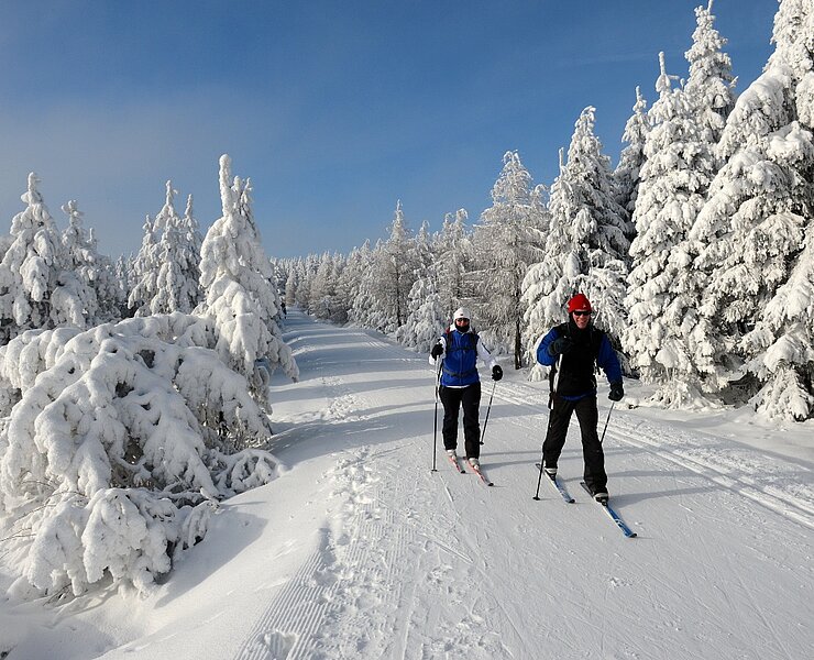 Skiläufer in der Loipe ()