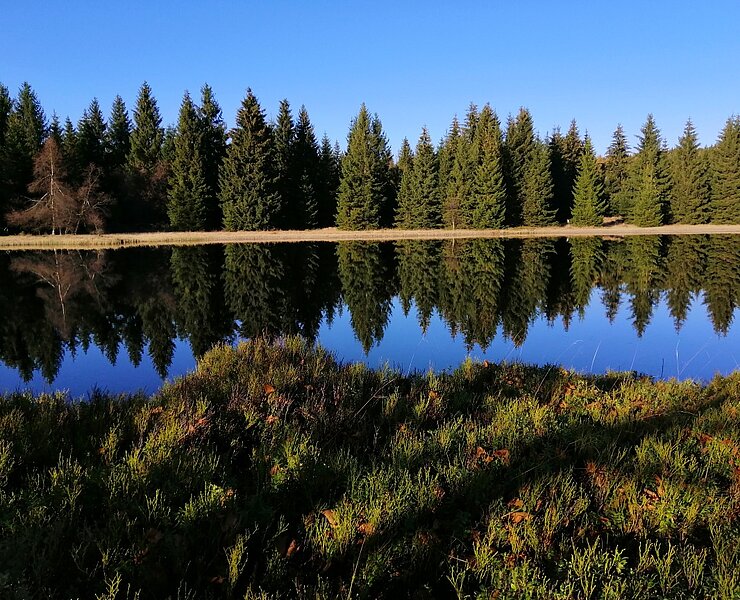 Wüster Teich ()