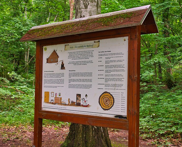 Walderlebnispfad Wechselburg - Station 10 (Bastian Rakow)