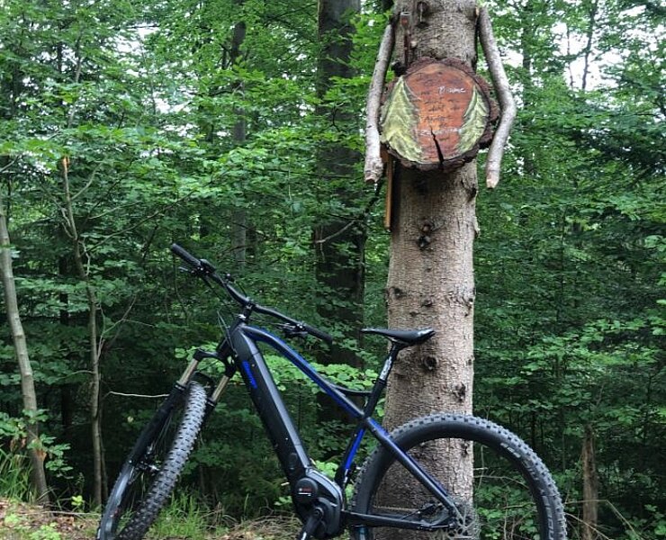  (Matthias Kleinke, Erzgebirge Erfahren)