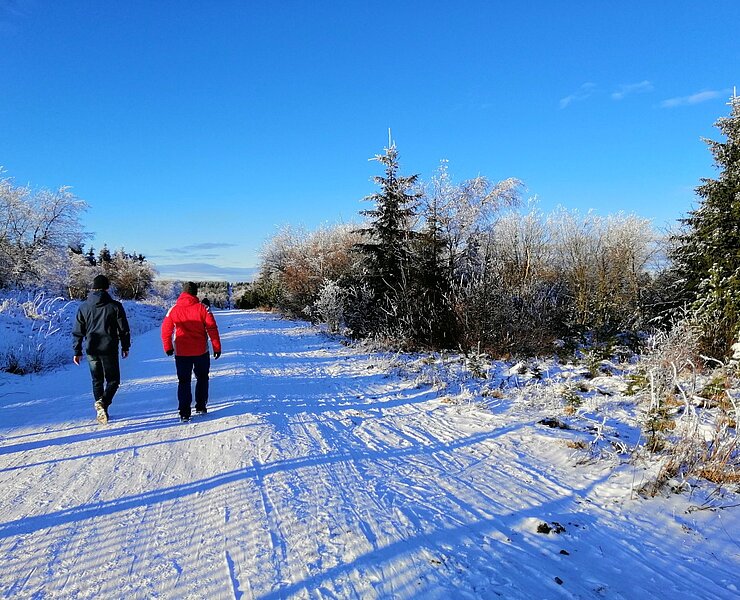 Winterwandern in der Urlaubsregion Altenberg ()