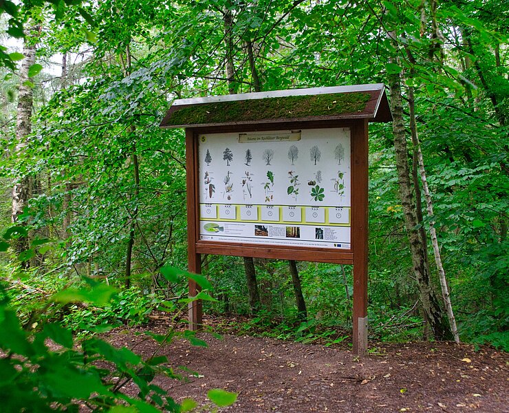 Walderlebnispfad Wechselburg - Station 5 (Bastian Rakow)