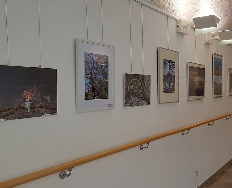 Miriquidi-Galerie ()