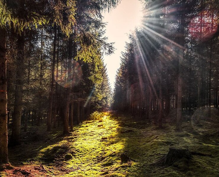Dippoldiswalder Heide (Ralf Bauditz)