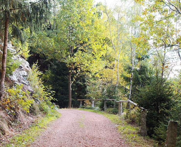 Pionierweg Thalheim zum Christelgrund (Vanessa Schüppel)