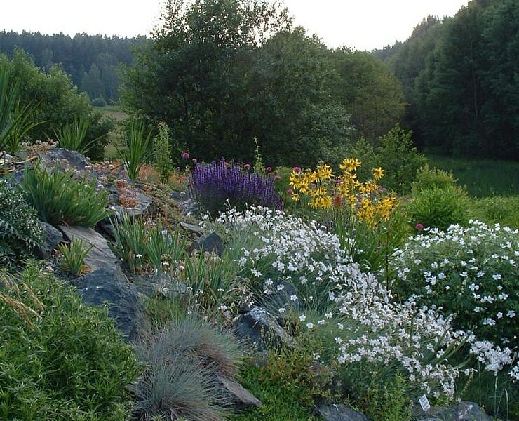 Botanischer Garten in Adorf ()