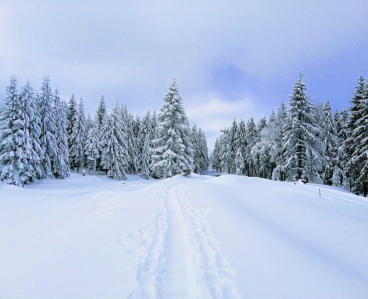 Winterwanderung rund um den Galgenteich ()