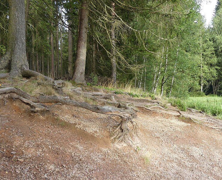  (Steffen Thränert, Natur- und Landschaftsführer)