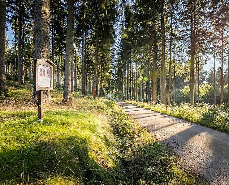 Naturlehrpfad am Talsperrenrundweg (Fresia Photography)
