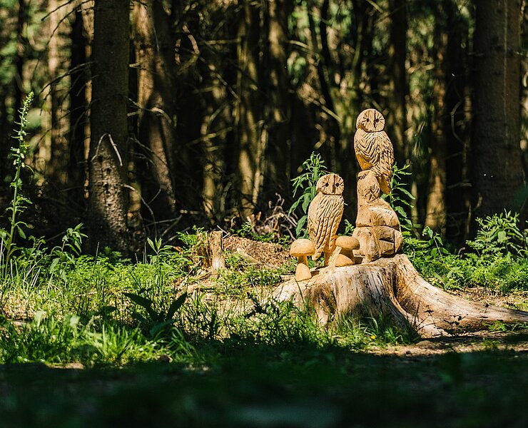 Holzfiguren an der Versöhnungsloipe (Phillip Maethner)