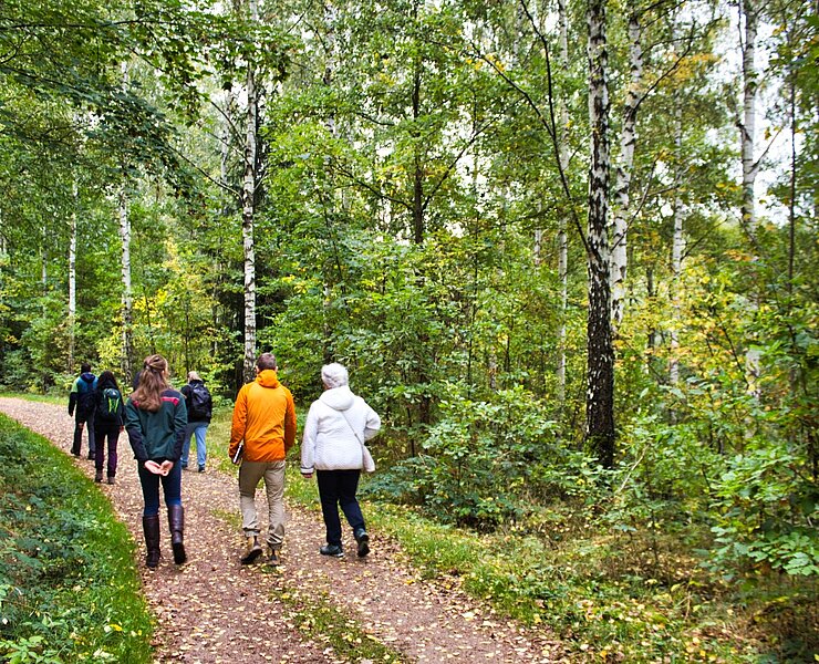 Wanderer im Herbstwald ()