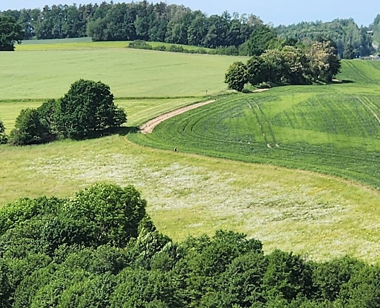  (Steffen Thränert, Natur- und Landschaftsführer)