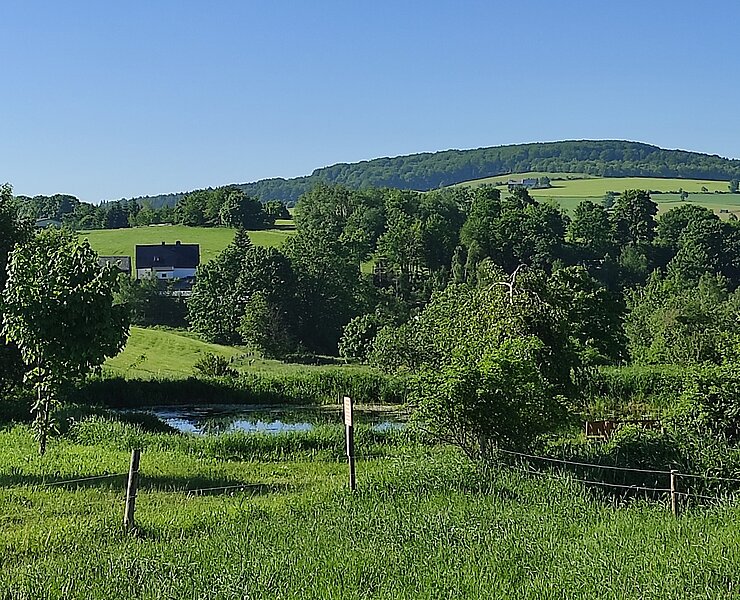 Glashütte (Tourist Info)