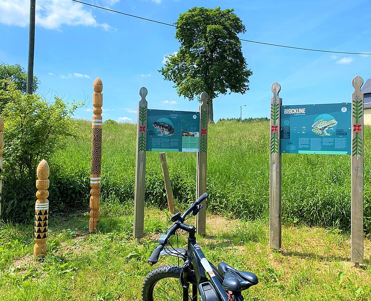 BLOCKLINE Infotafeln Grasfrosch am Glashüttenteich (Tourismusverband Erzgebirge e.V. )