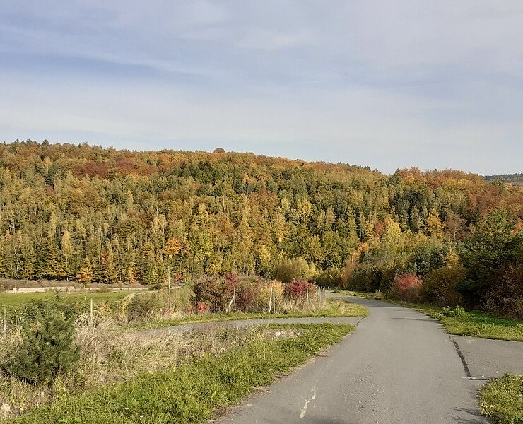  ()