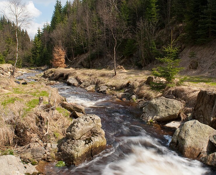 Bezruč-Tal (Petr Mikšíček)